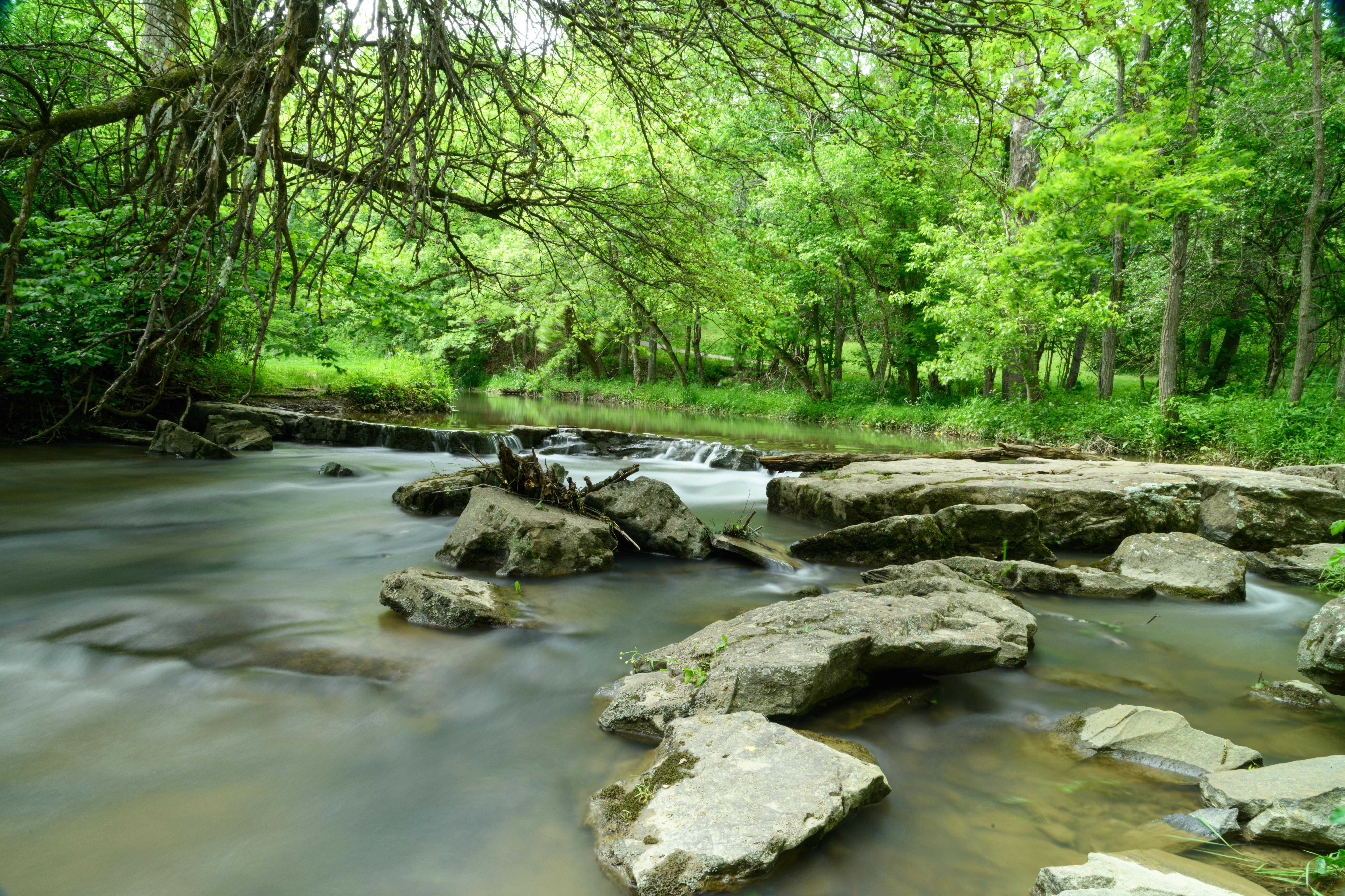 DuPage Forest Preserve executive director leaving for city manager job in Florida — Photo by Jay Brand on Pexels
