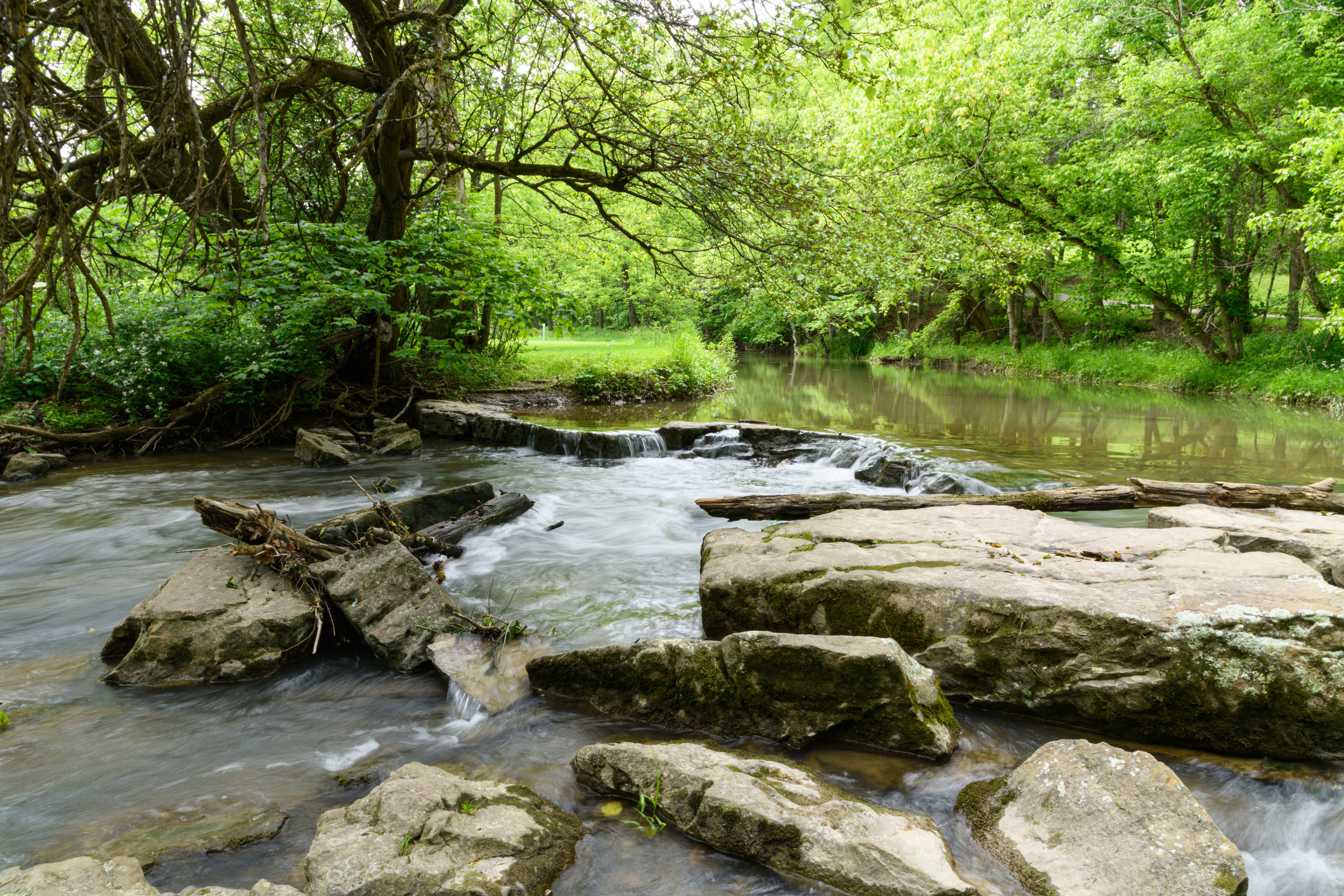 Spring Creek Greenbelt