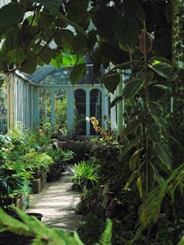 Explore the tranquil greenhouse lush with various plants in Lota, Bío Bío, Chile.