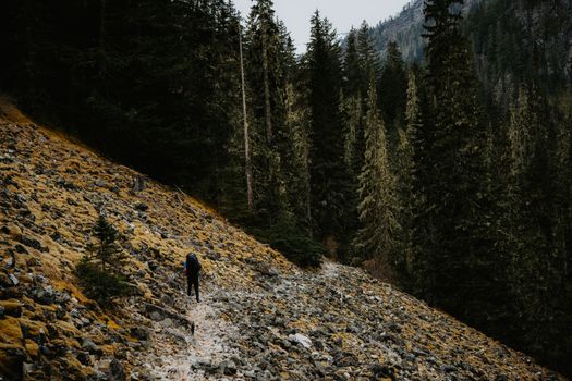 A lone hiker ventures through a rocky forest trail in mountainous terrain, surrounded by towering trees.