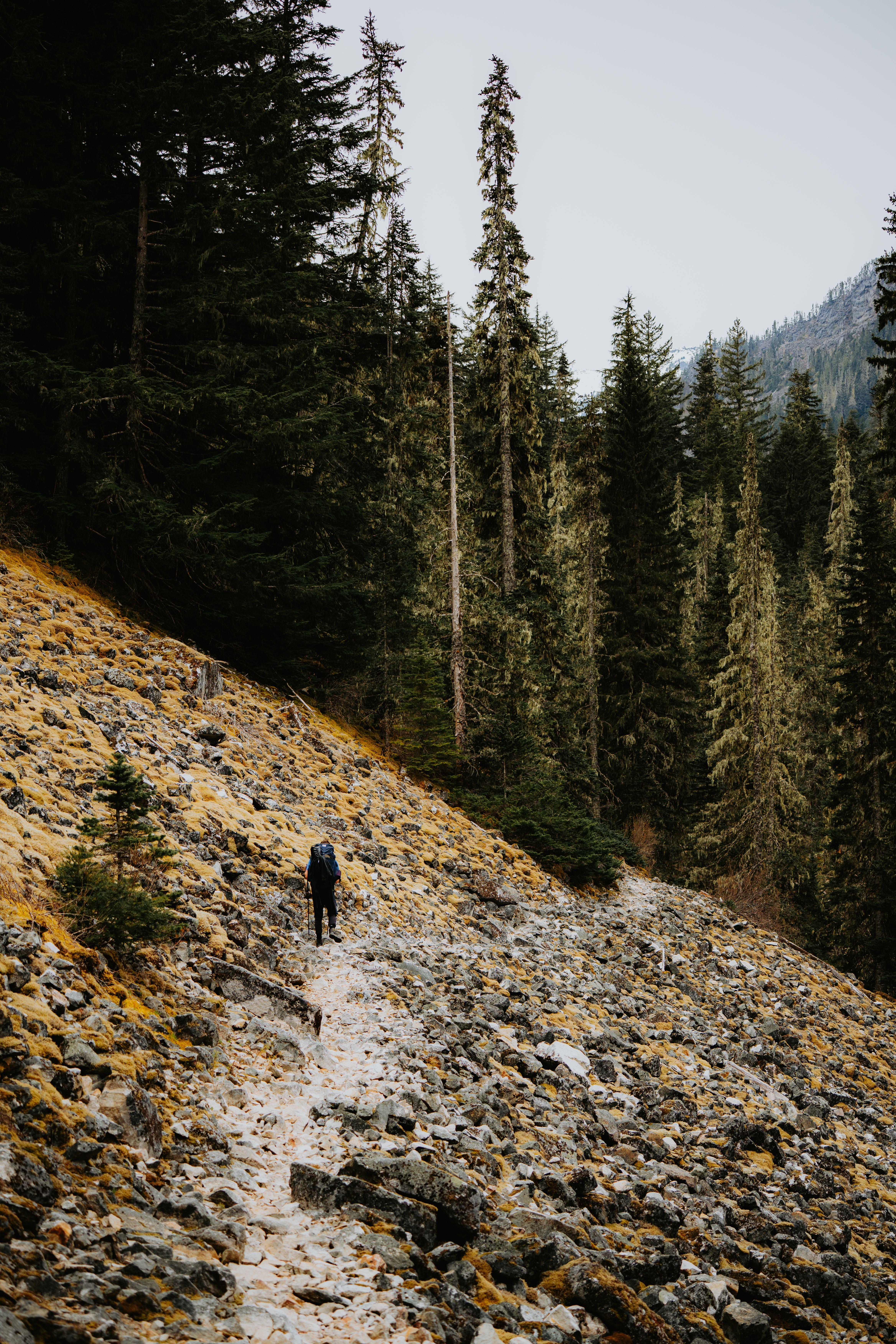 Adidas Terrex Free Hiker 3 Review: Performance and Comfort Explored
