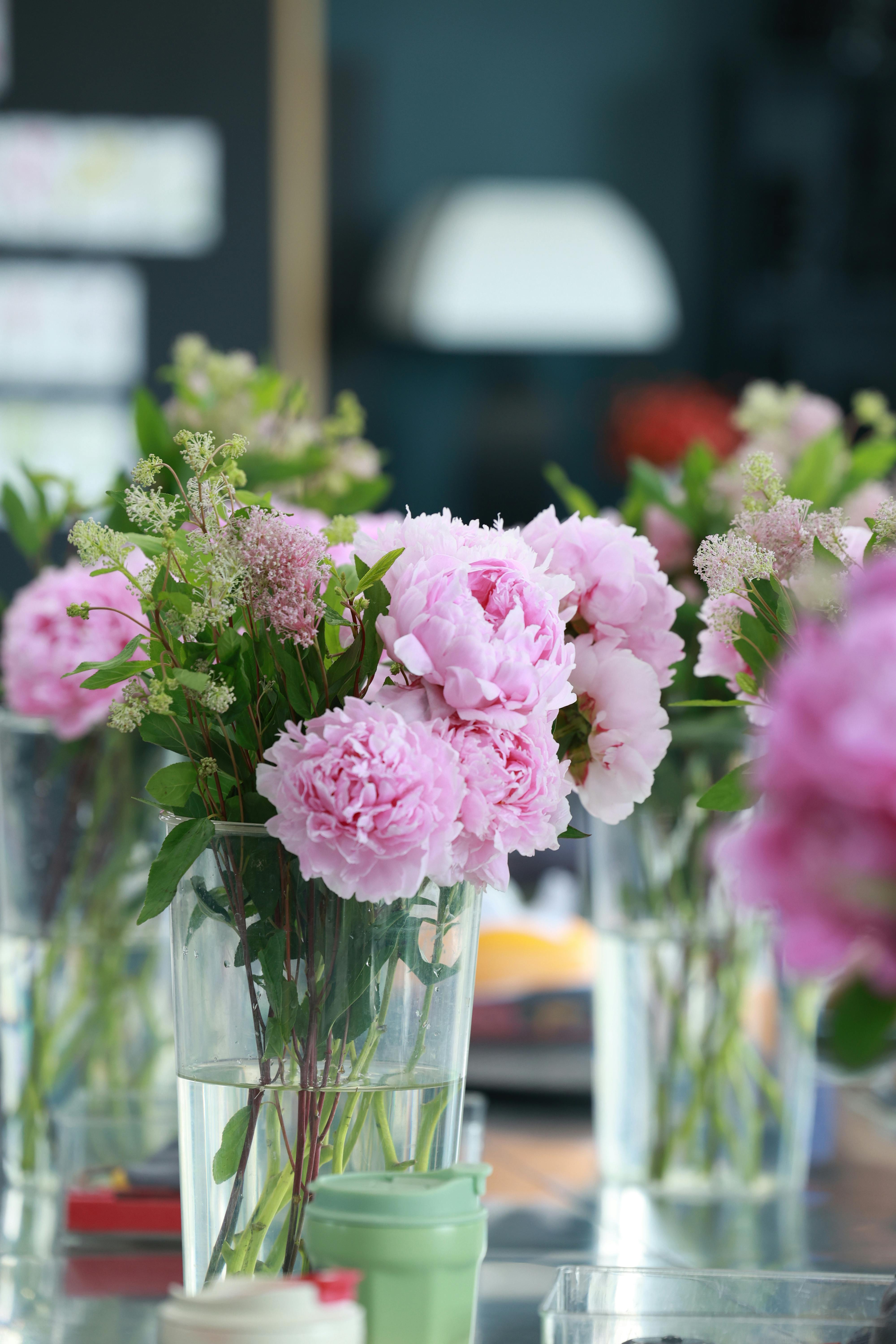 [ColoSach]-blooming-pink-peonies-in-glass-vase-on-a-table,-adding-vibrant-beauty-to-an-indoor-setting.