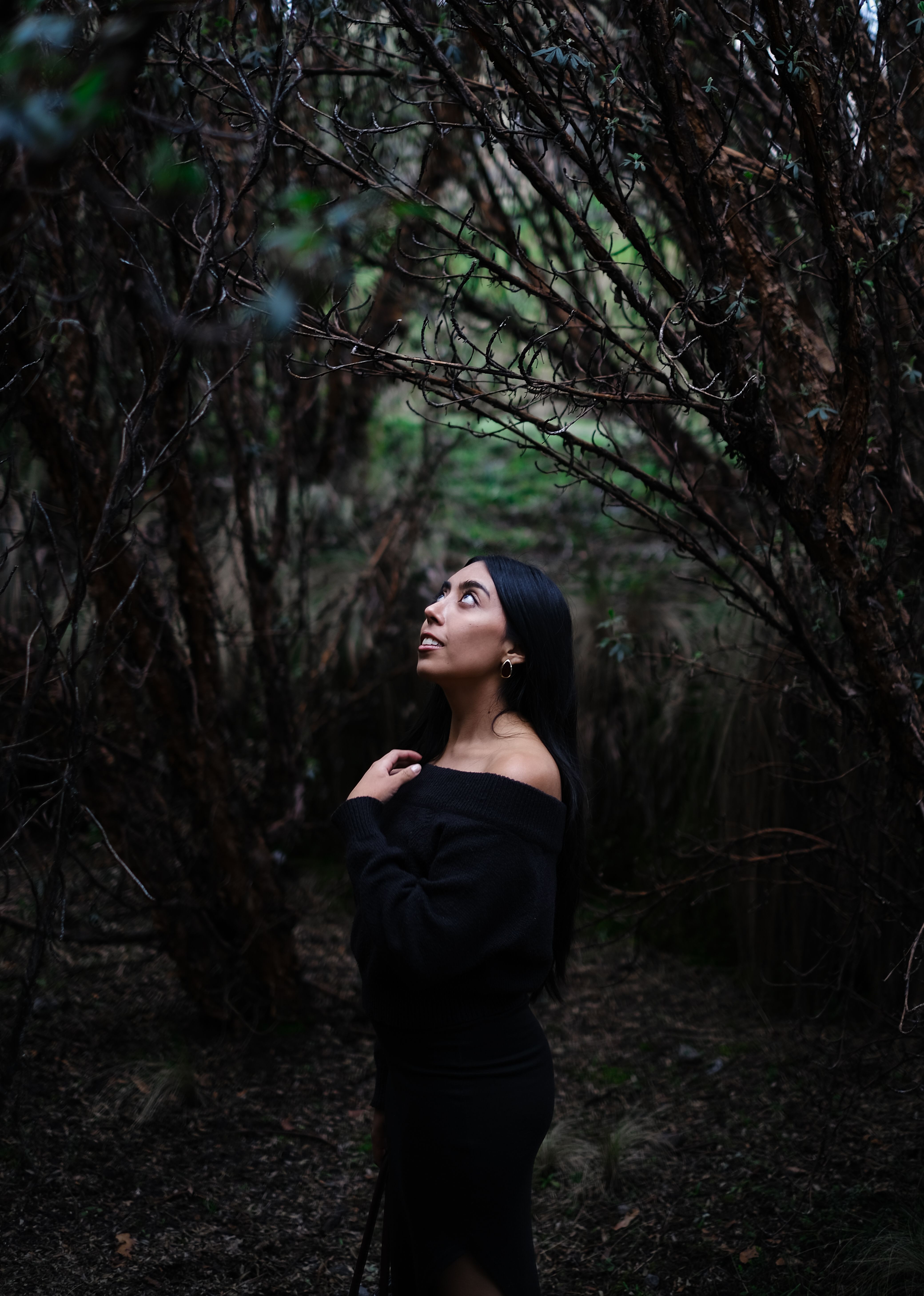 Woman in Black Dress in Enchanted Forest · Free Stock Photo
