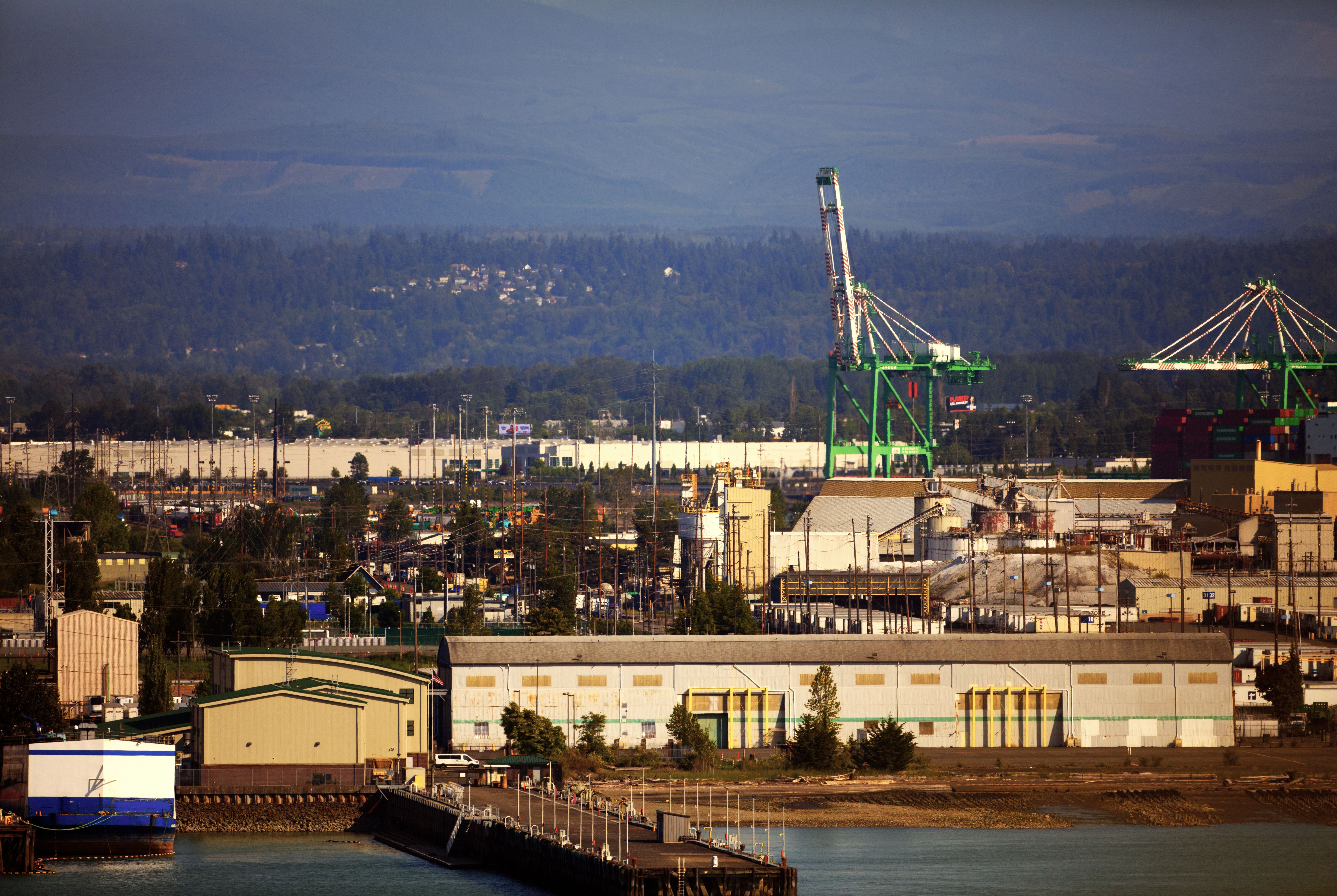 Industrial Port Landscape with Green Cranes · Free Stock Photo