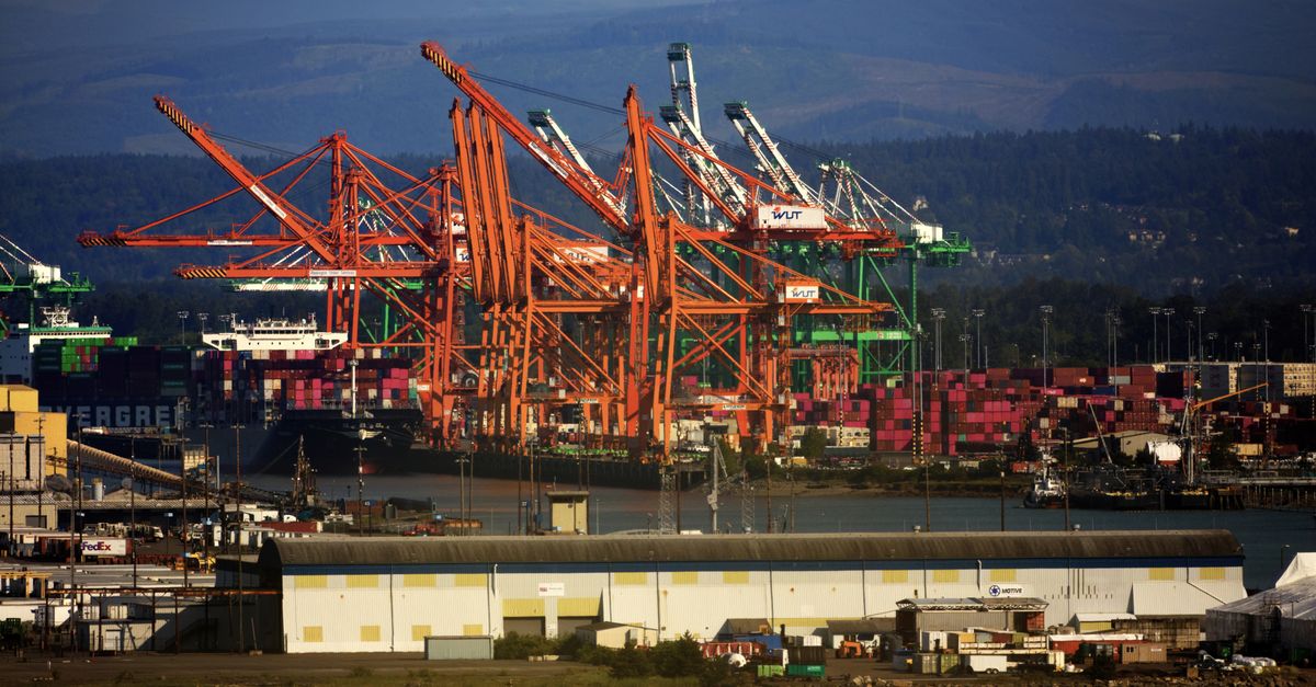 Gantry cranes and stacked containers at a container terminal — low freight rates do not mean low PE delivery risk