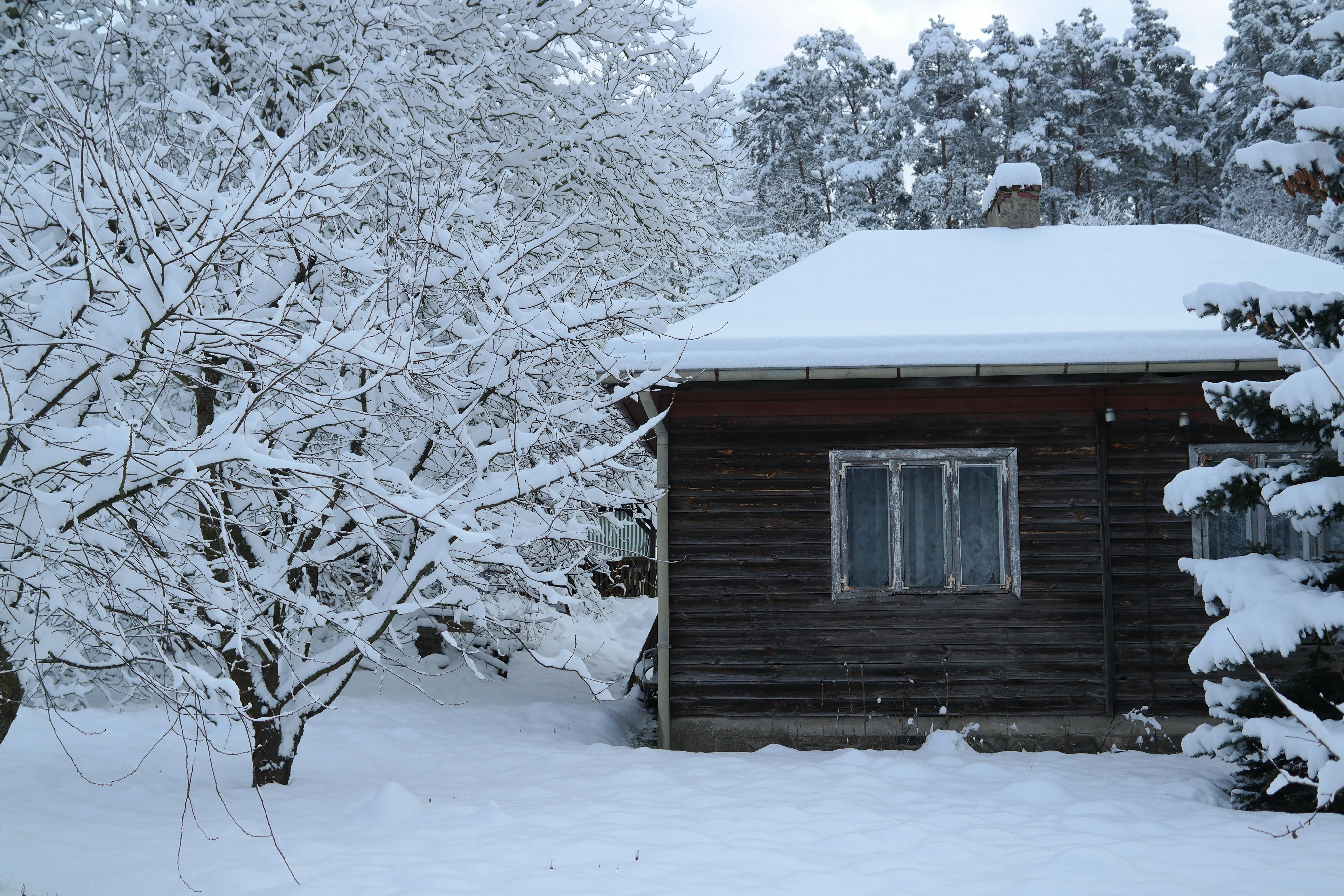 Roundup: Weather cancellations / Mortgage rates rise / Plumbing rules reworked — Photo by Roman Biernacki on Pexels