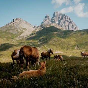 A serene view of horses grazing in a picturesque mountain landscape with clear skies.