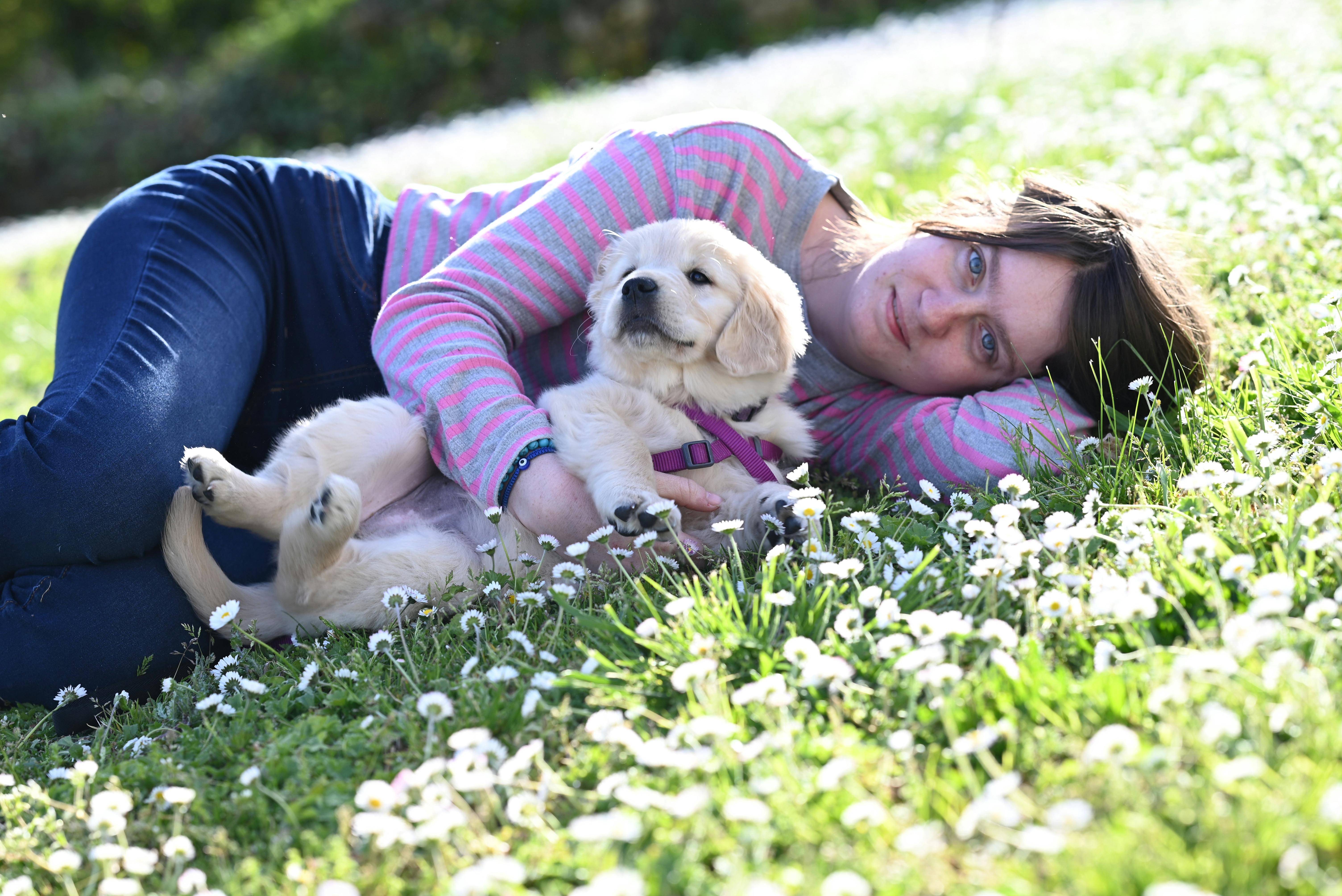 Pet safety this spring: tips and tricks with the ARL — Photo by JacLou- DL on Pexels