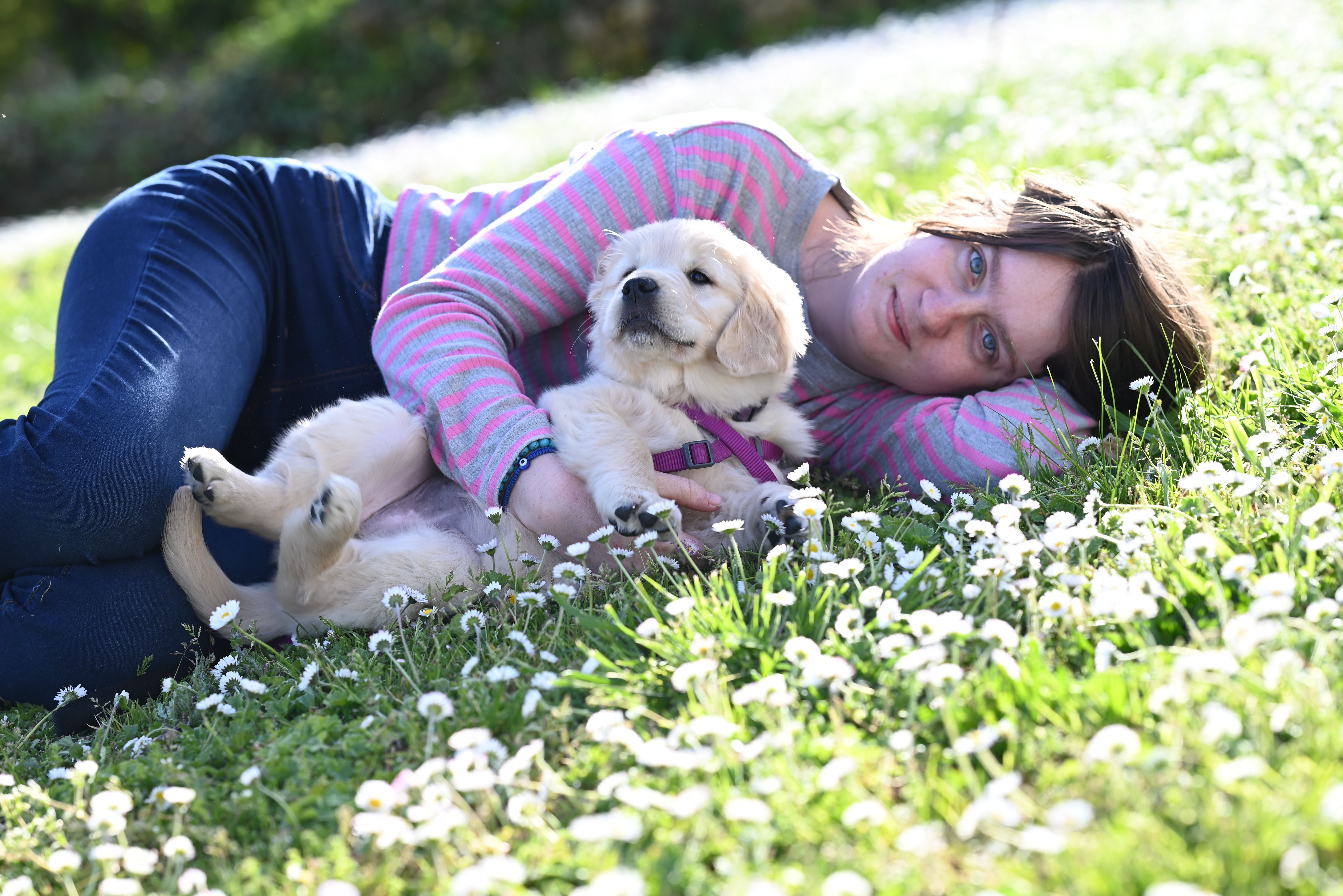 Woman and Golden Retriever Puppy Relaxing in Meadow · Free Stock Photo