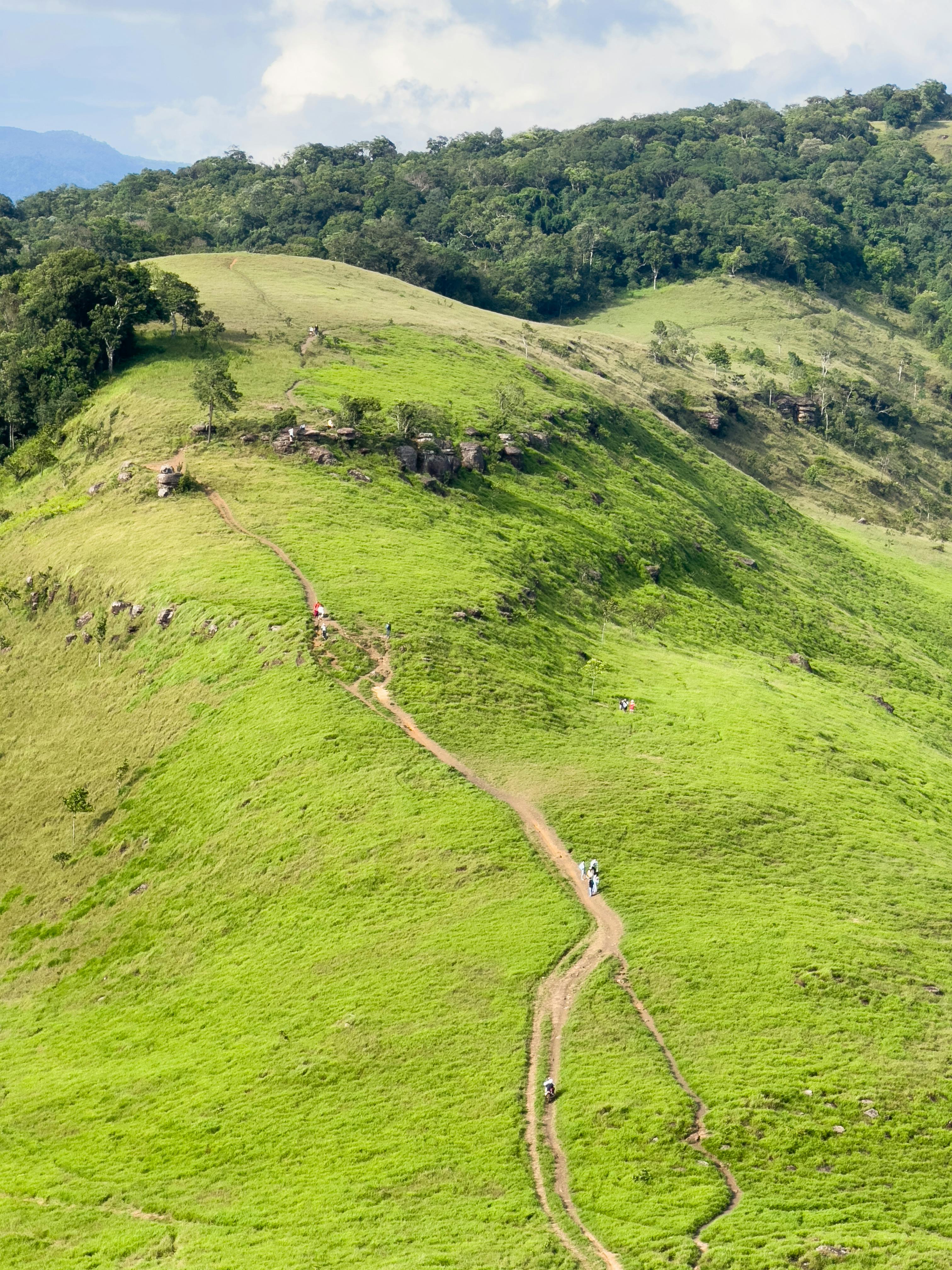 Explore a vibrant green trail winding through mountainous terrain. Perfect for nature lovers.