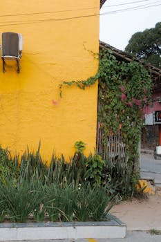 A colorful urban scene with a bright yellow wall and lush greenery, creating a striking contrast.
