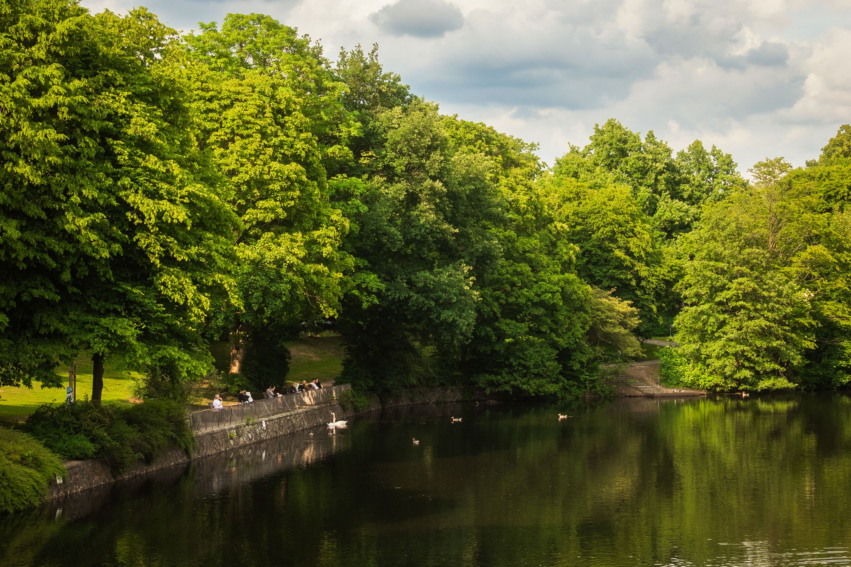 Tranquil Riverside Landscape with Lush Greenery · Free Stock Photo