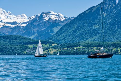 Free Scenic view of sailboats on Lake Thun with the Swiss Alps in the background under a clear summer sky. Stock Photo