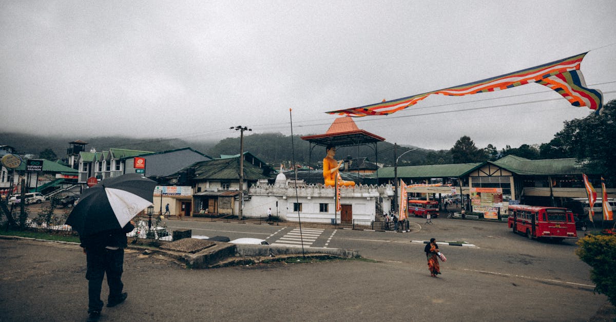 國際茶道節圓滿結束 成功推廣竹山茶文化