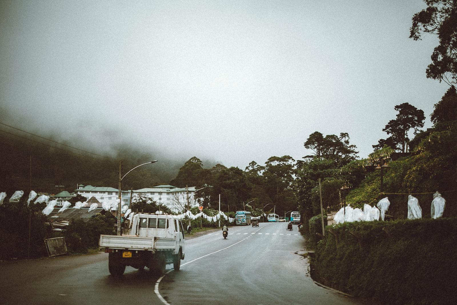Sri Lanka Tea Plantation Photos, Download