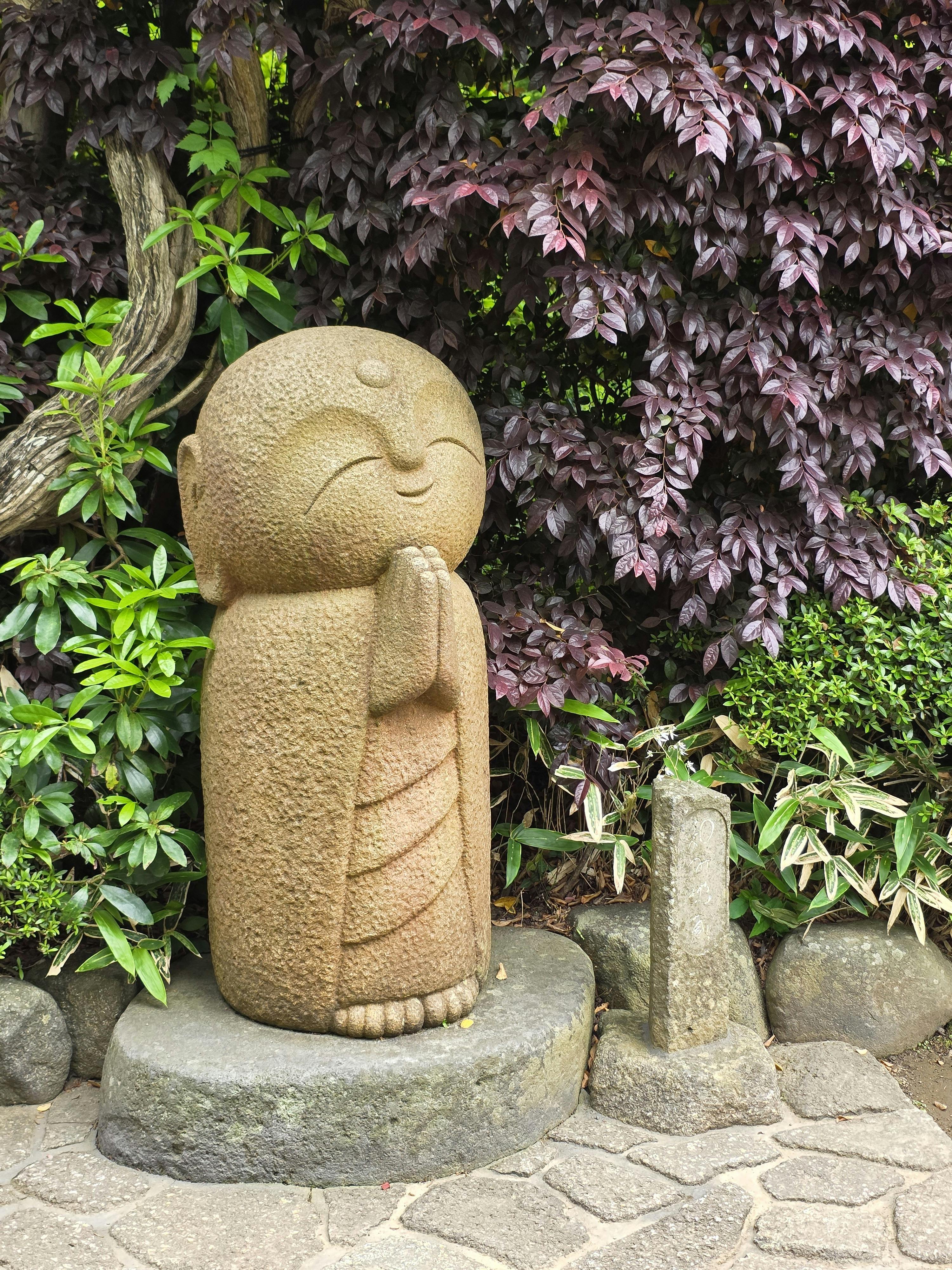 마이크로비오타 보호