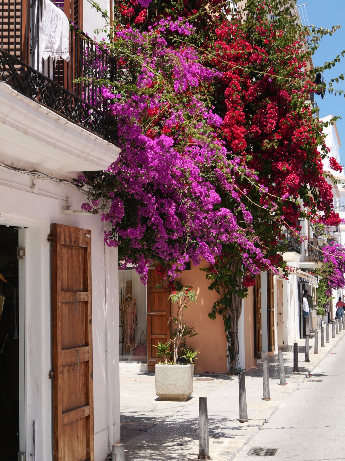 A charming street in Ibiza with blossoming bougainvillea — the island's signature backdrop
