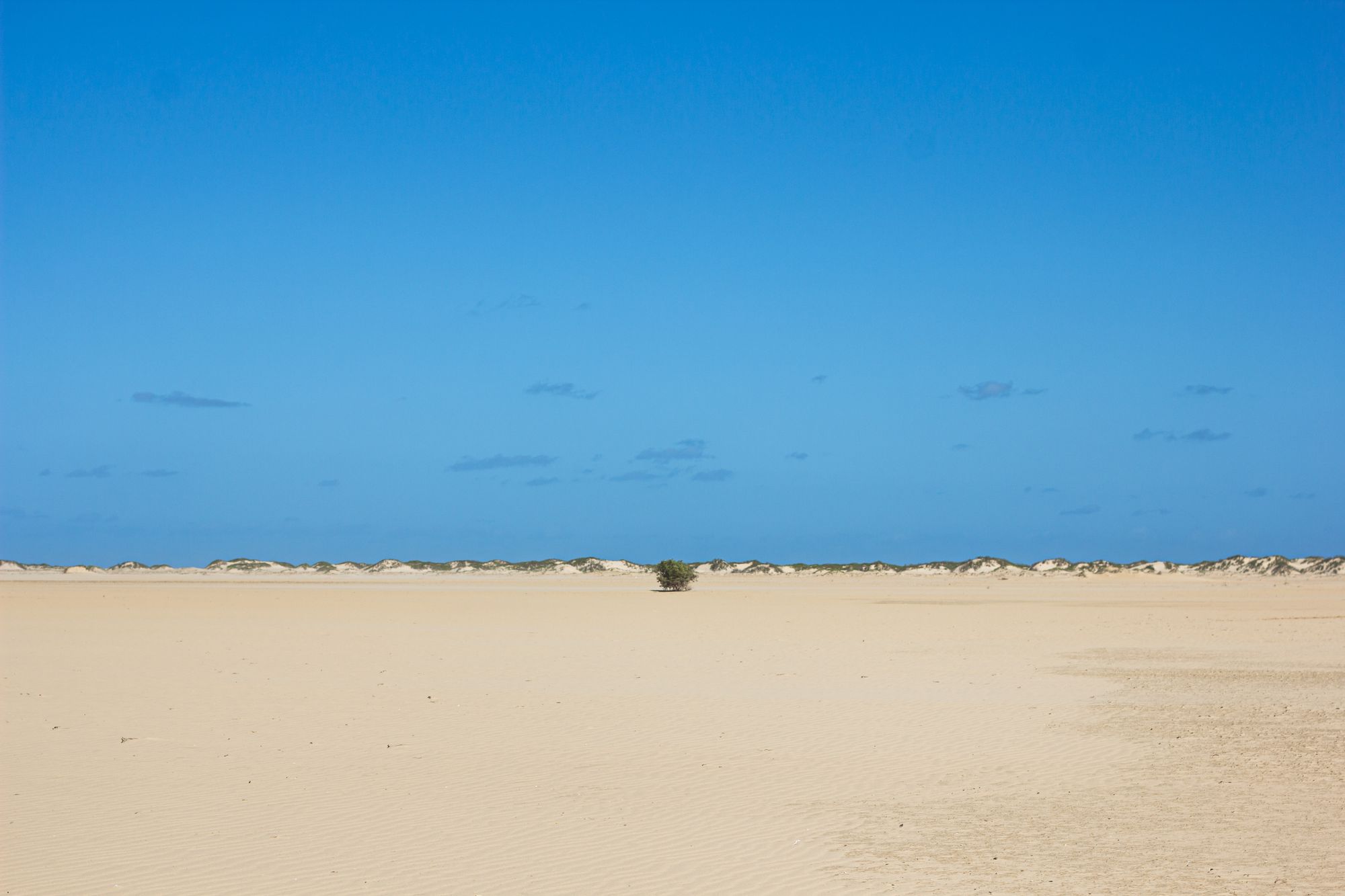 Boa Vista