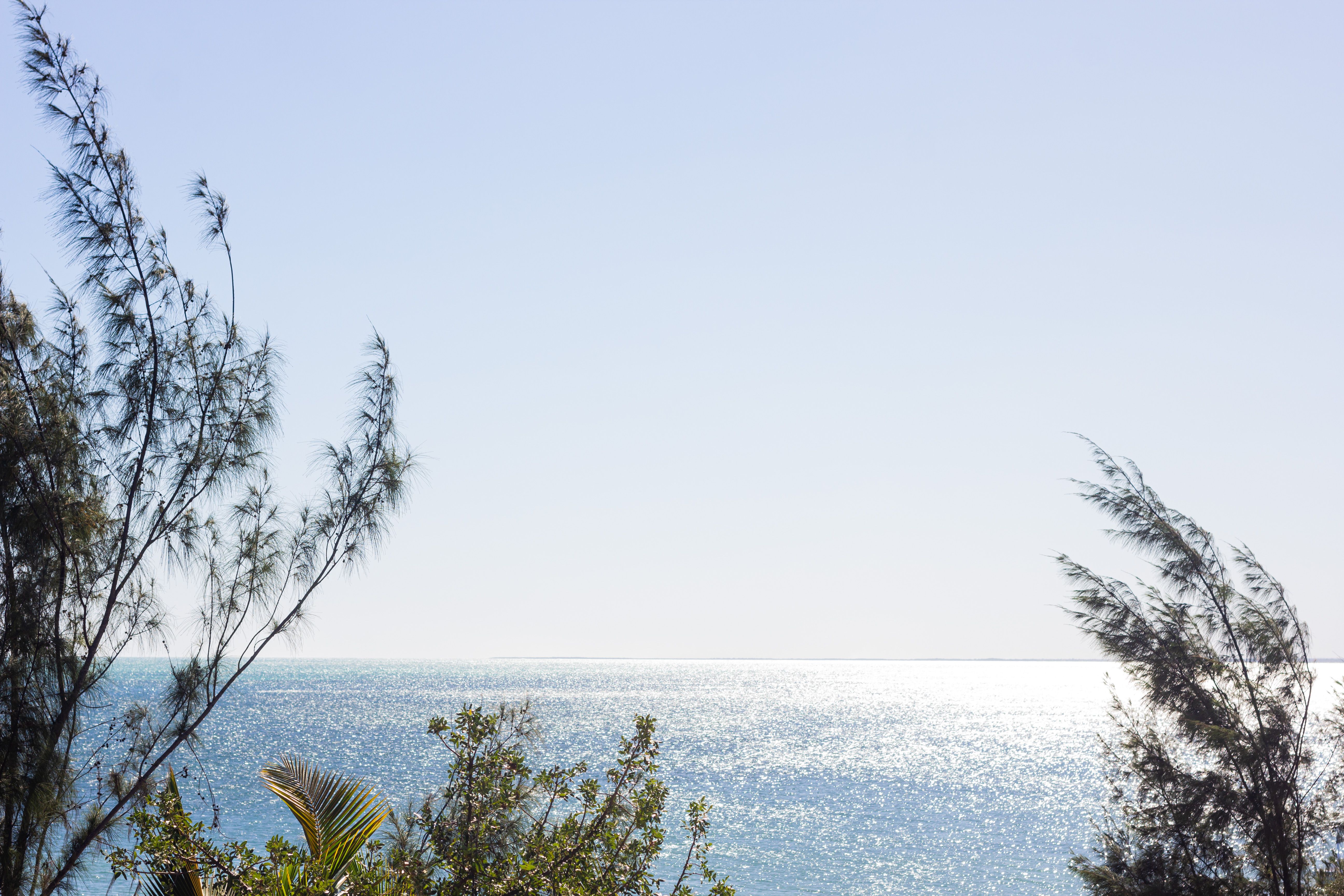 Indian Ocean Shore Photos, Download The BEST Free Indian Ocean Shore ...