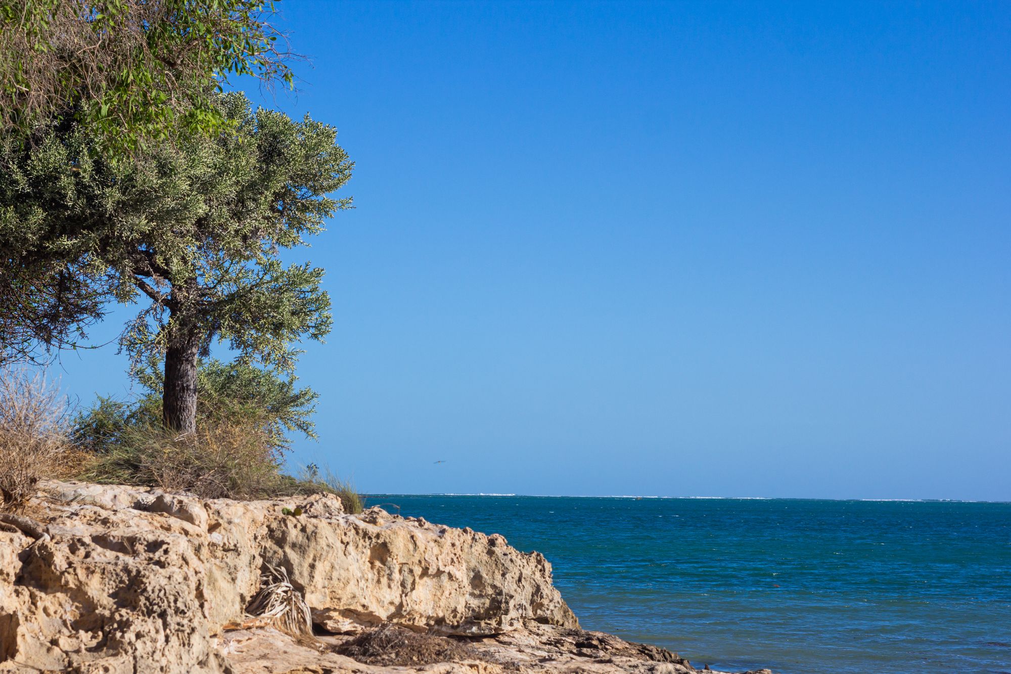 Toliara