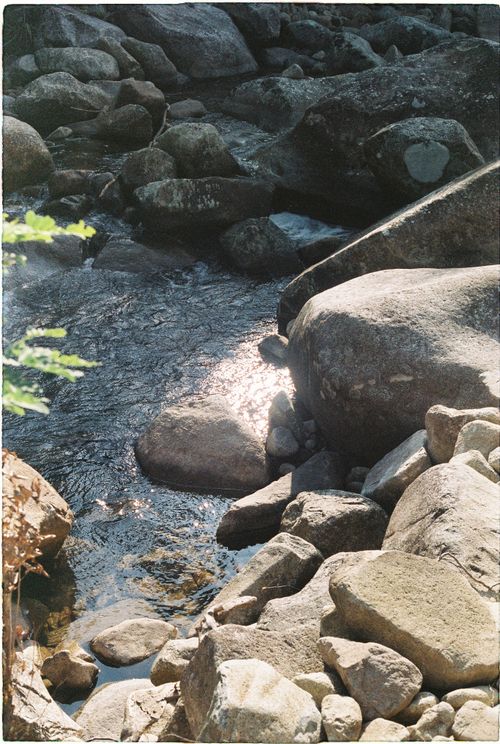 Free A tranquil stream flows over rocks in a sunlit forest, casting gentle reflections. Stock Photo