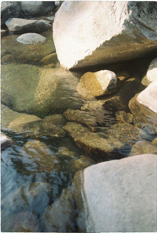 Free Peaceful creek flowing over rocks in natural setting, sunlight reflecting on the water. Stock Photo