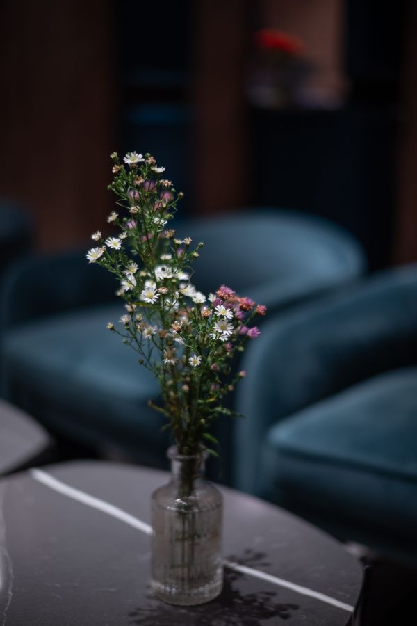 Flores silvestres delicadas em um vaso de vidro adicionam charme a um ambiente de lounge sofisticado. Perfeito para inspiração de decoração de interiores.