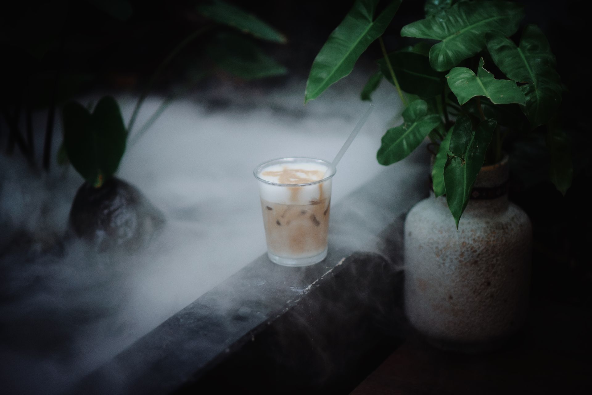 Glass of iced coffee on a misty patio surrounded by lush green plants.