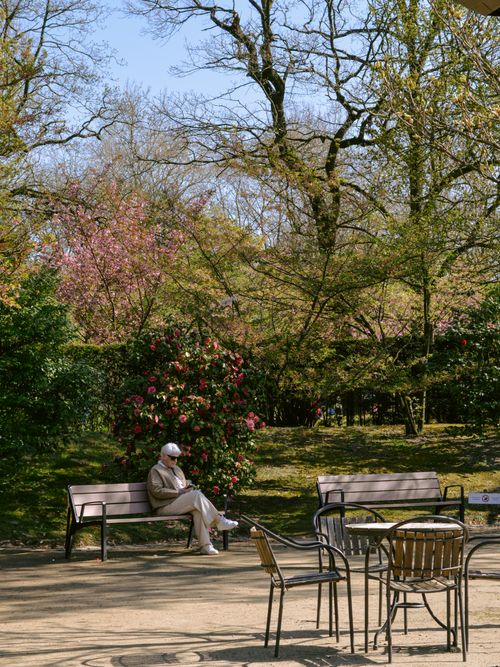 Free Serene park scene with blooming flowers and spring foliage, capturing tranquility and nature. Stock Photo