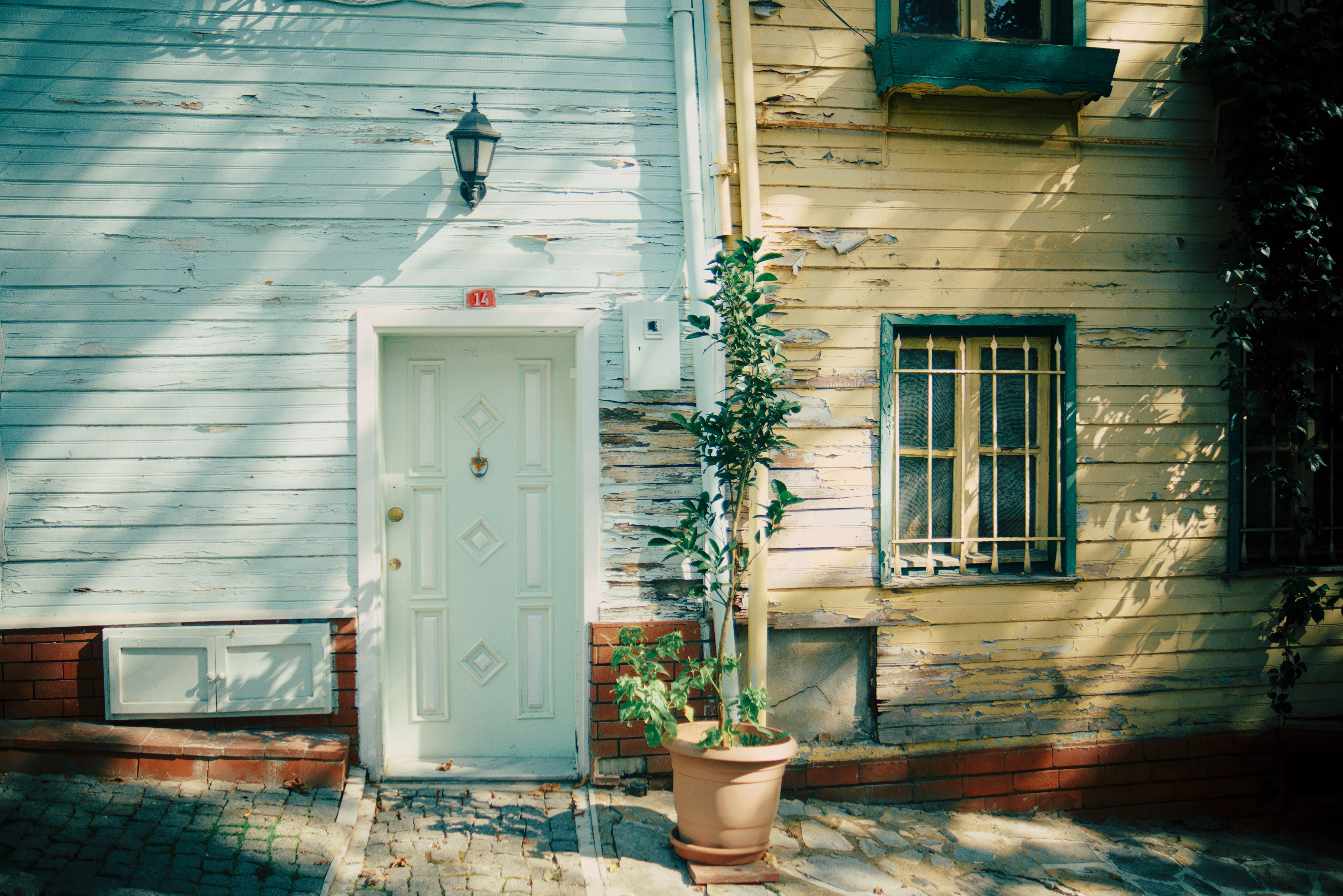 Fence and Decking Painting in Lee — dust sheets down and the room fully protected