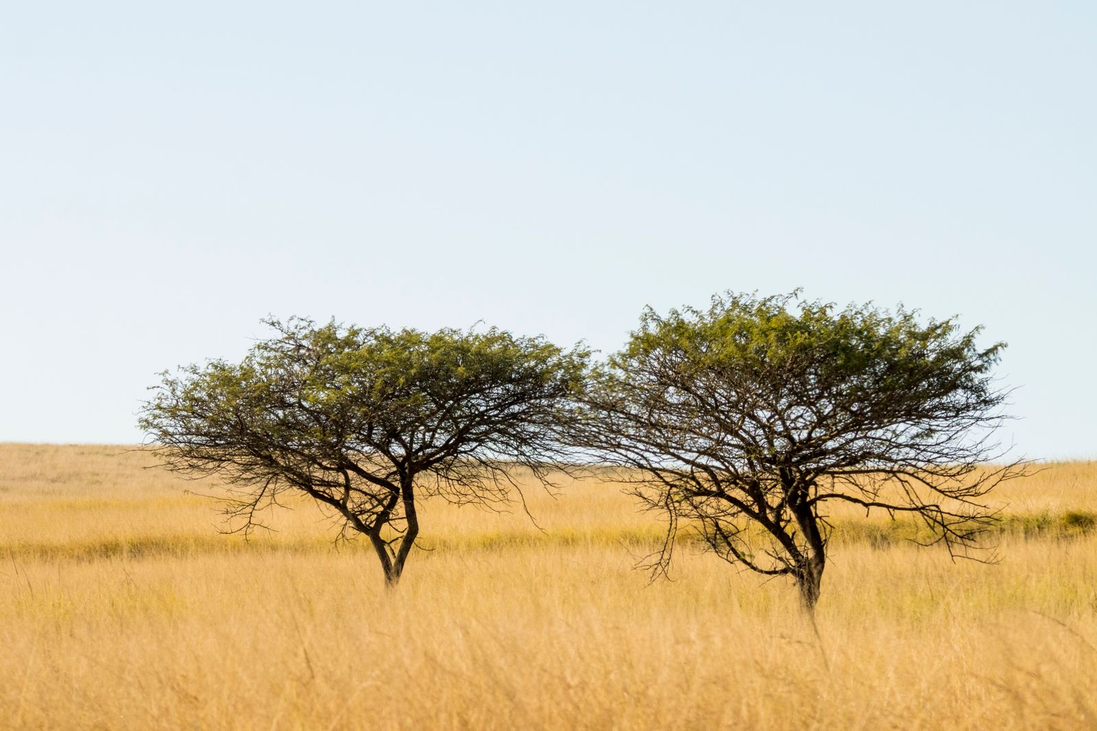 Kenya photography