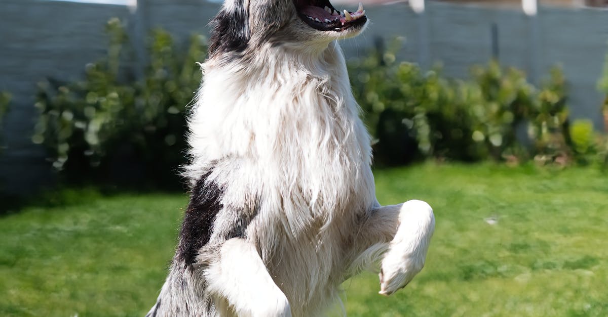 特公盟舉辦盡情遊戲日 推動運動生活化與遊戲平權新風潮