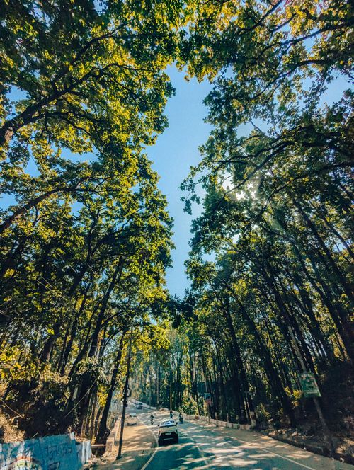 Free Trip Stock Photo