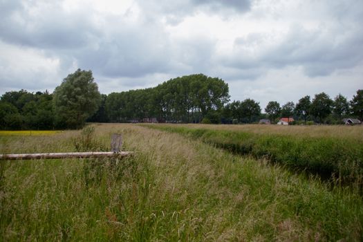 Peaceful rural scene featuring a lush green field and cloudy sky, perfect for nature-themed projects.