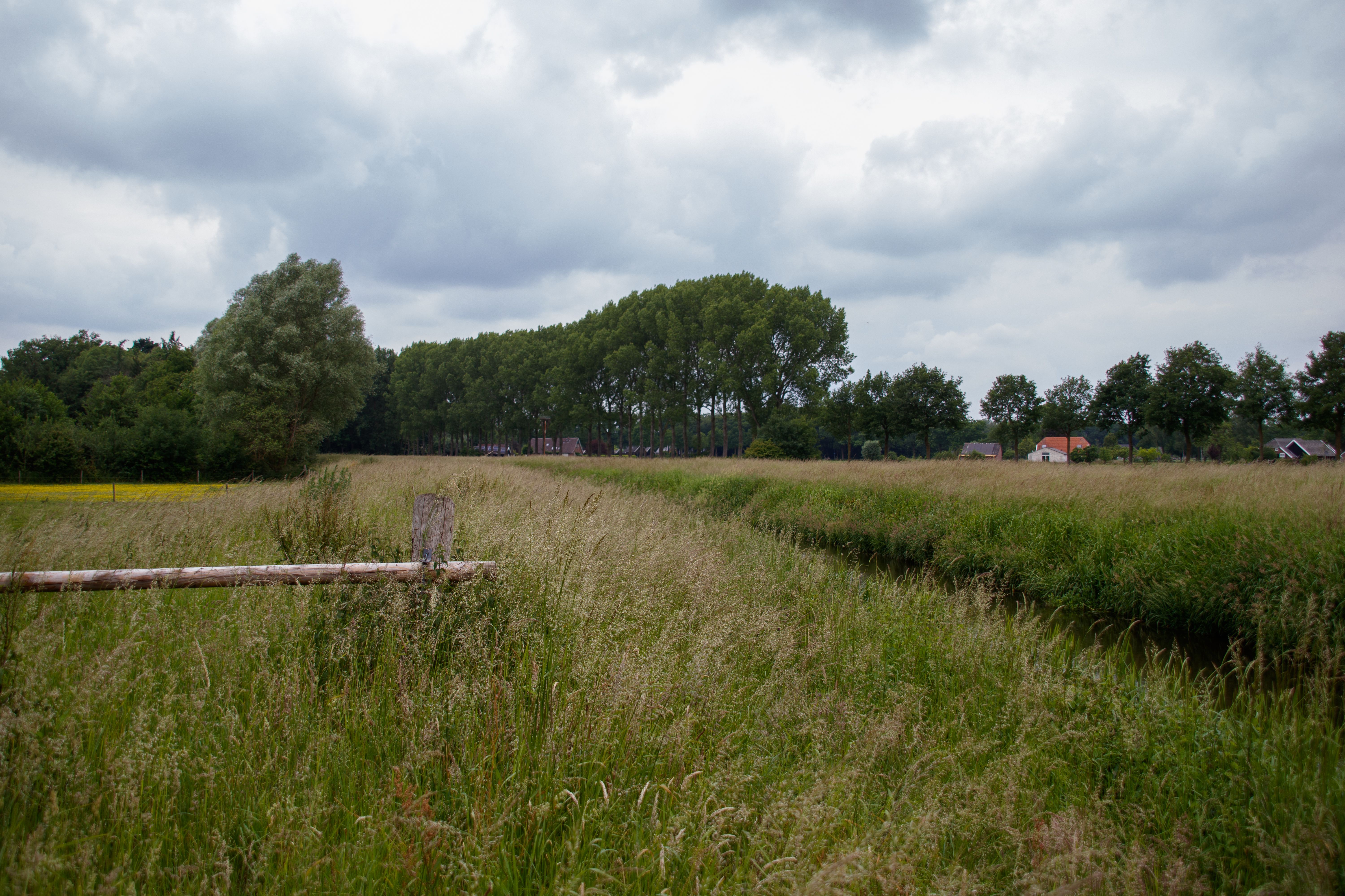 Veldt Landscape Photos, Download The BEST Free Veldt Landscape Stock ...