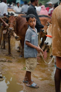 A young boy stands in a busy livestock market holding a cow's rope, surrounded by people and cattle.