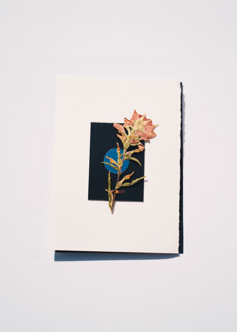 Pressed-flower greeting card on a pale surface — photo by Evie Shaffer on Pexels