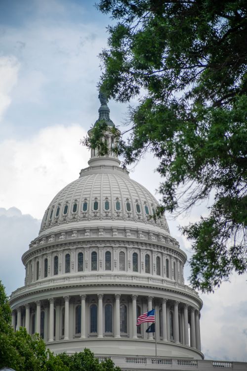 Free A stunning view of the US Capitol dome in Washington, DC surrounded by lush trees. Stock Photo