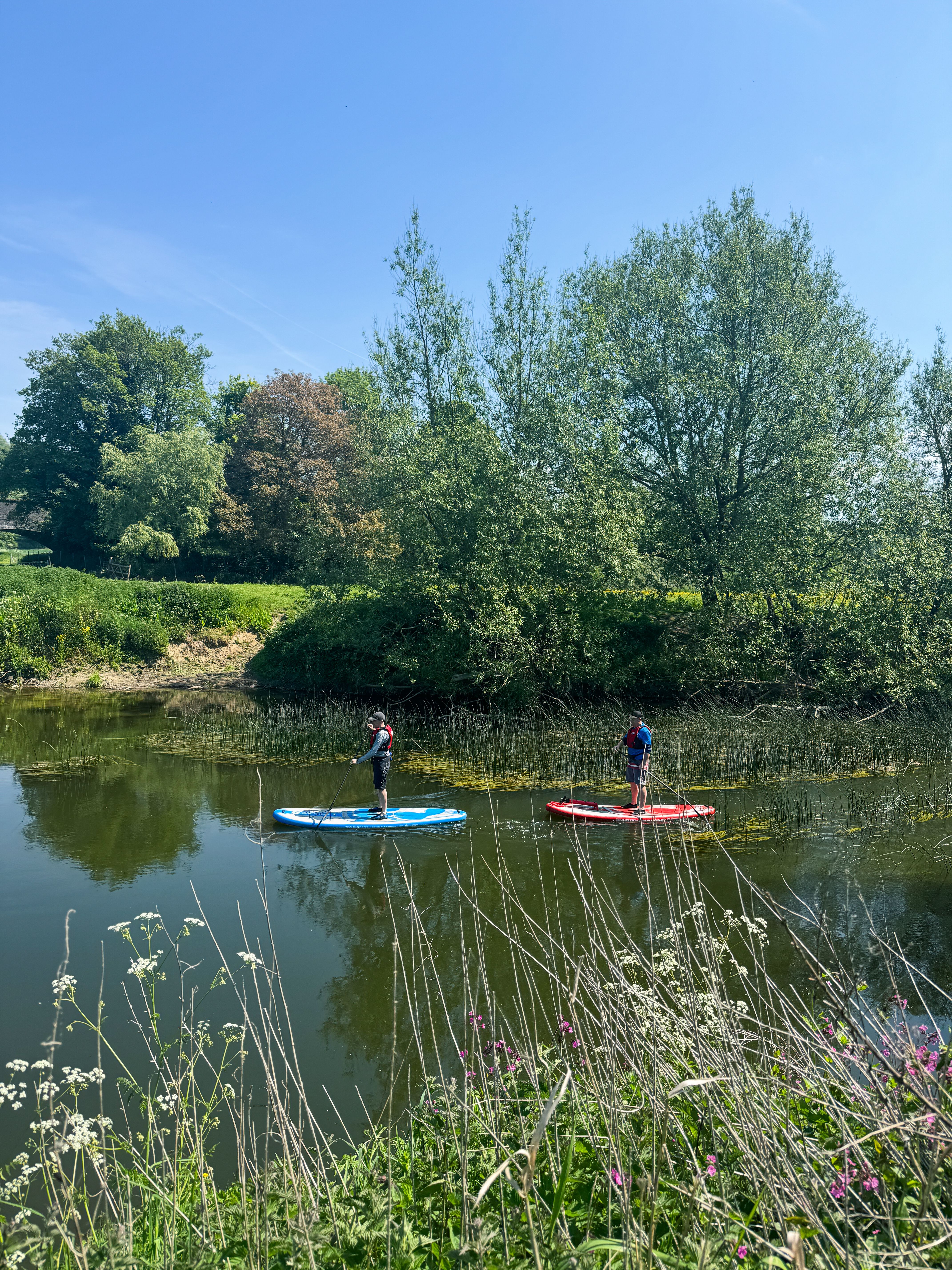 Try stand-up paddleboarding for the first time with Alder Creek Kayak & Canoe