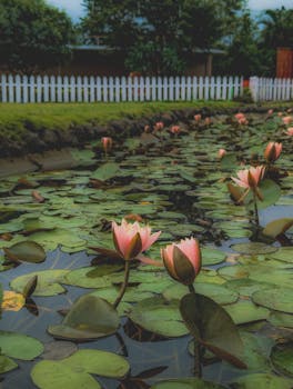 Image related to Rahul Gandhi's statement on Congress party unity and its future prospects.  Indian politics, Congress party.