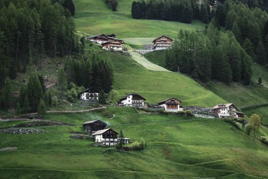 Scenic view of rustic alpine houses nestled in lush green hills surrounded by dense forest.