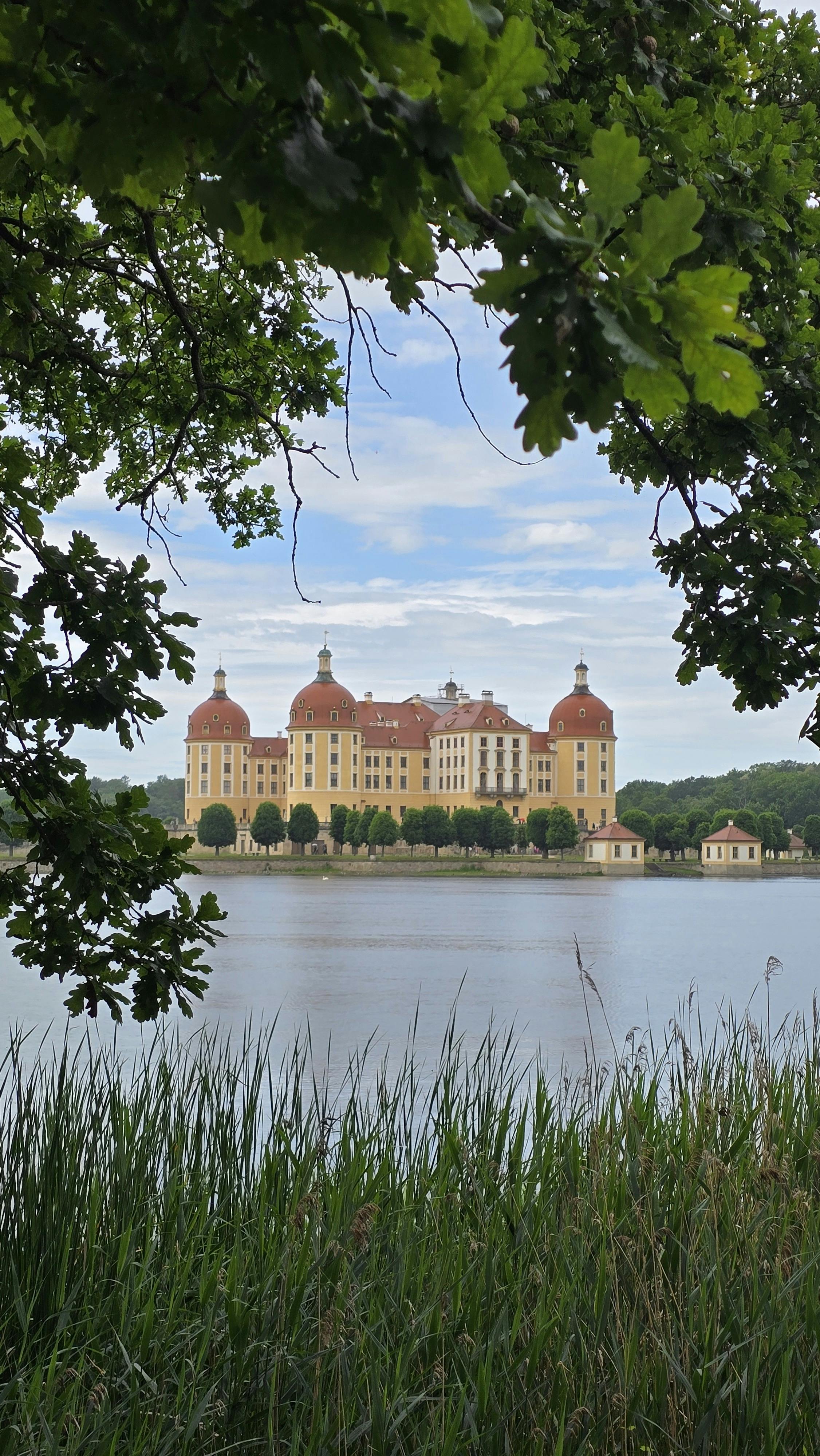 Anchorage Royal Caribbean