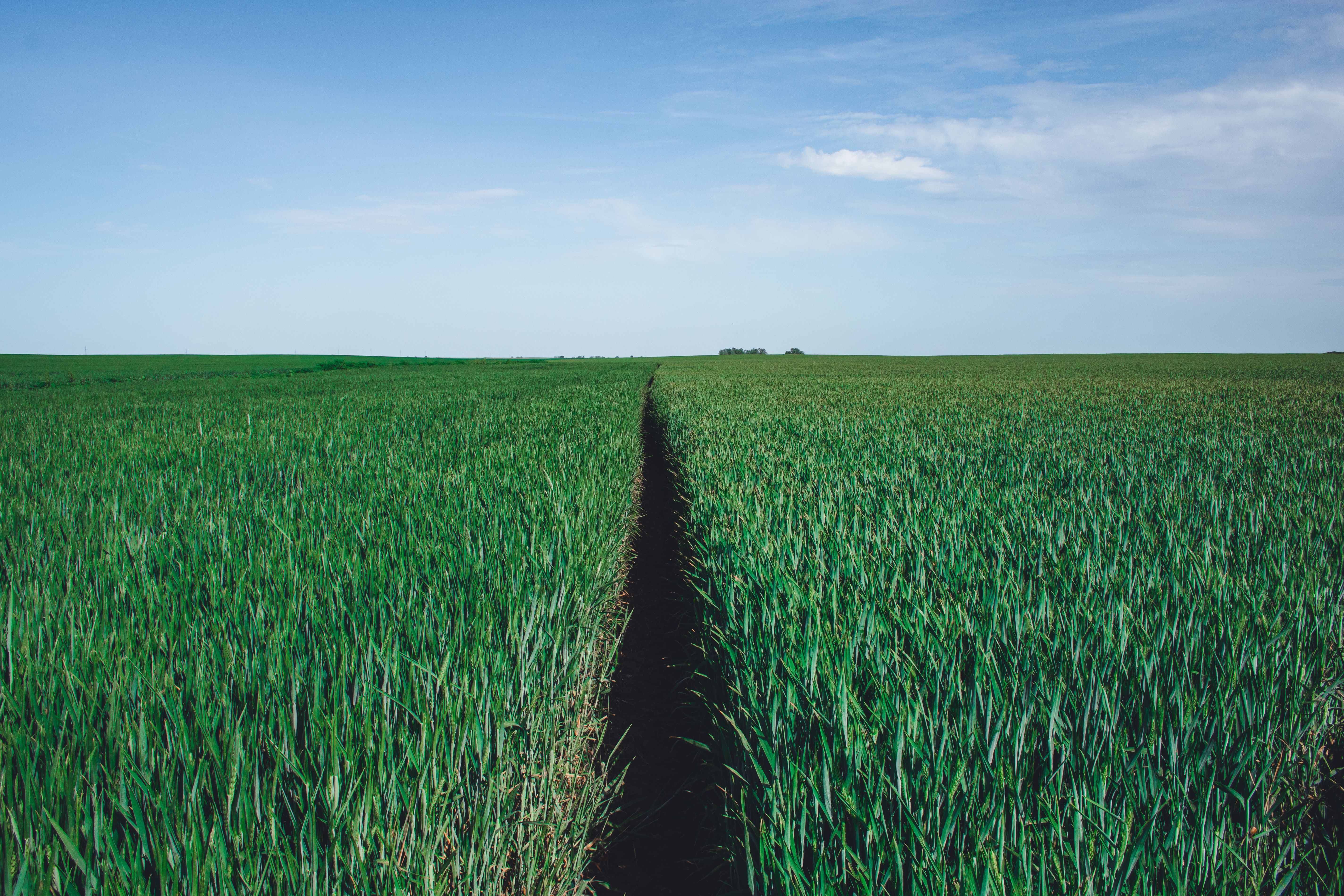 Farmland Without Crops Photos, Download The BEST Free Farmland Without ...