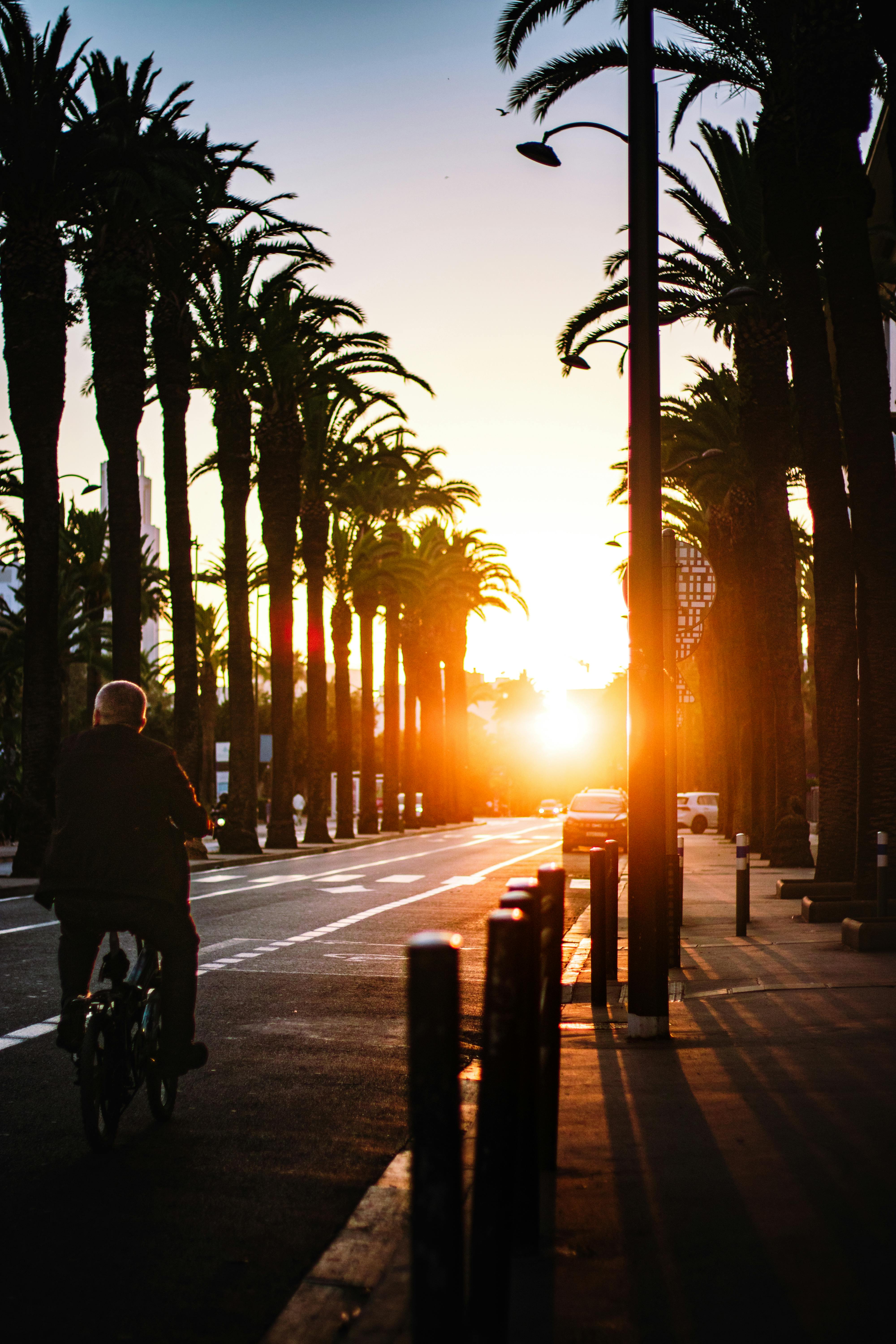 台中自行車節全攻略：樂享健康騎行與城市風情