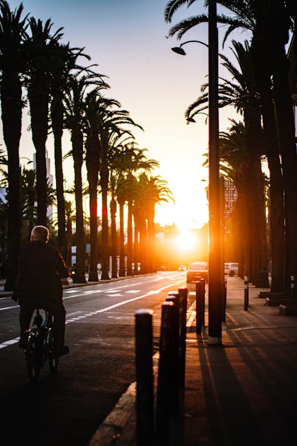 台中自行車節全攻略:樂享健康騎行與城市風情 台中自行車節全攻略:樂享健康騎行與城市風情
