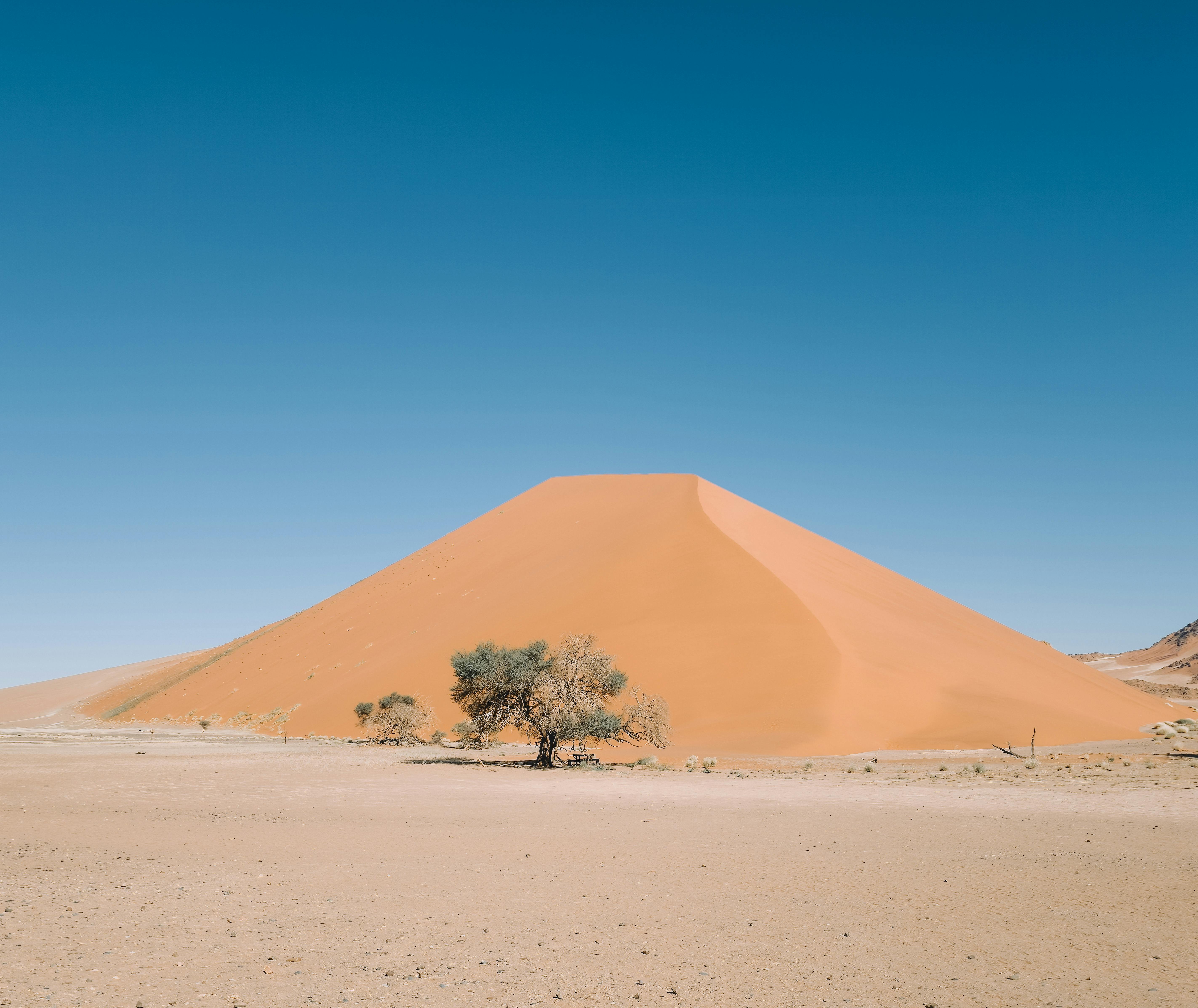 Ultimate Guide to Multi-Purpose Beauty Products for Versatile Skincare