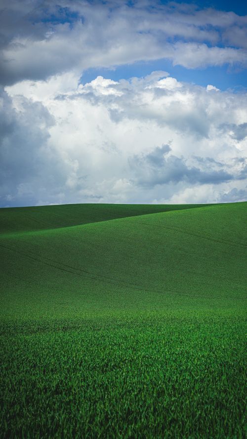 Free Vivid green fields stretch under dramatic cloudy skies, capturing the essence of tranquil rural landscapes. Stock Photo