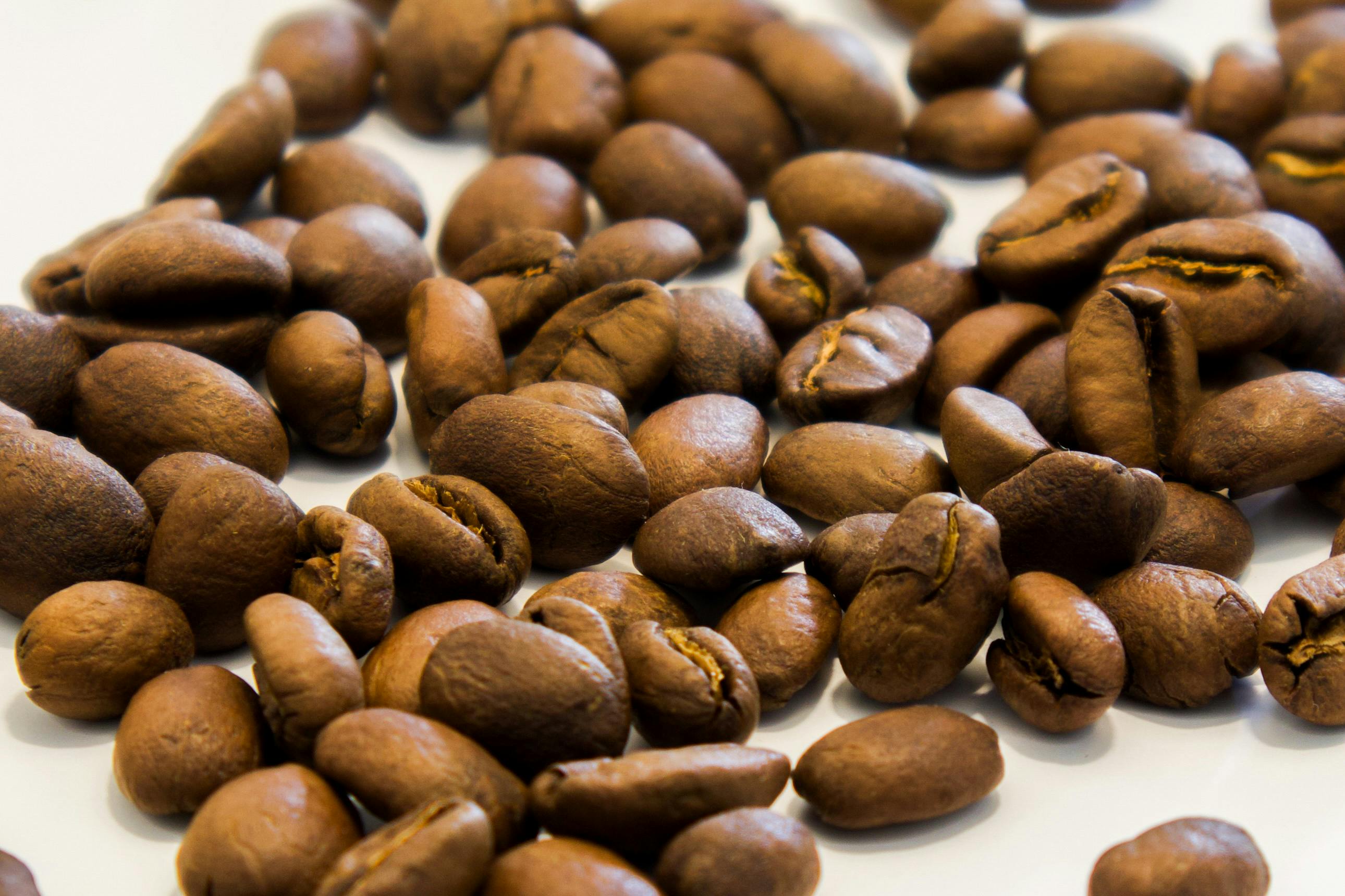 natural vanilla coffee beans - Macro shot of roasted coffee beans on a white background, perfect for café promotions.