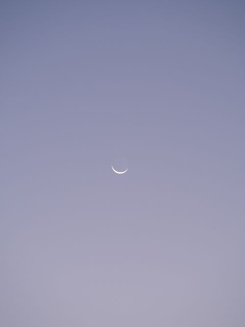Free A serene crescent moon set against a soft twilight sky, embodying peace and calm. Stock Photo