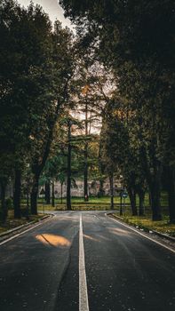 A serene road flanked by tall trees at sunset in Rome, Italy, creating a peaceful and picturesque scene.